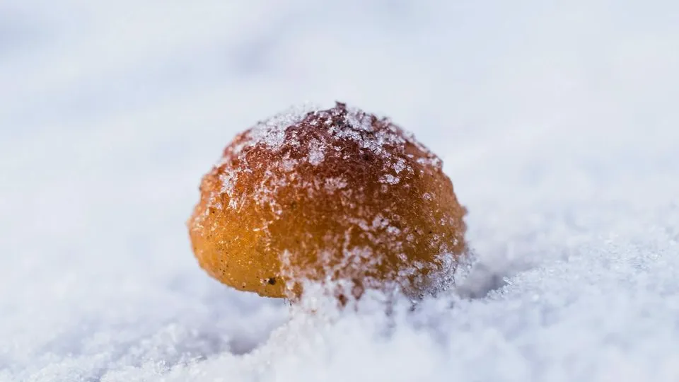 Фото: unsplash.com