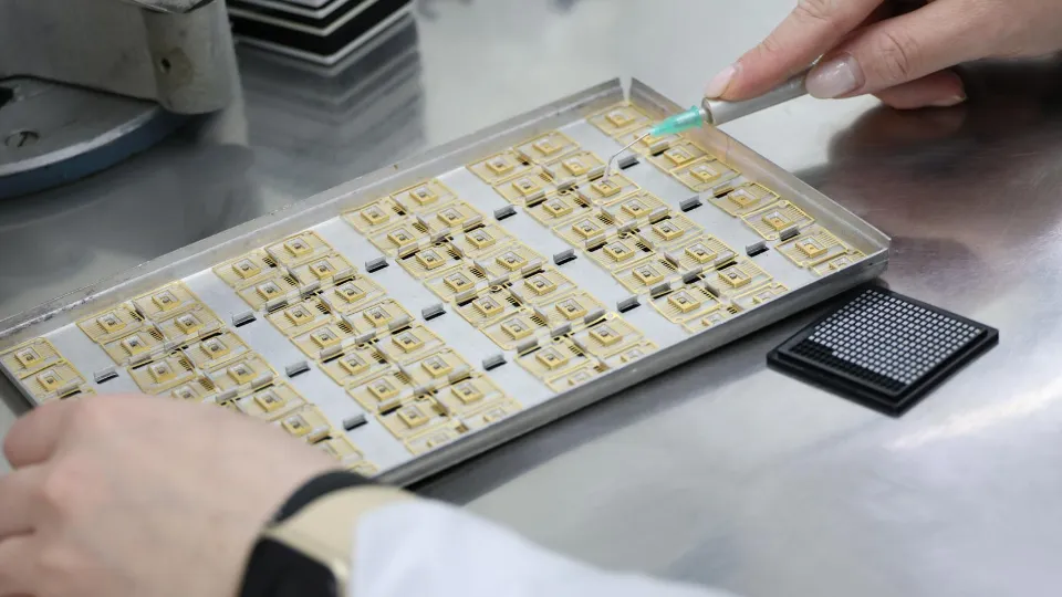 Фото: Администрация Павлово-Посадского г.о.