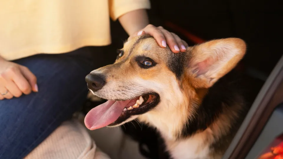 Фото: freepik.com