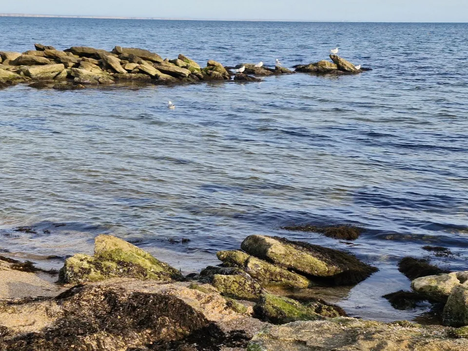 Фото:&nbsp;REGIONS/Наталия Надточая