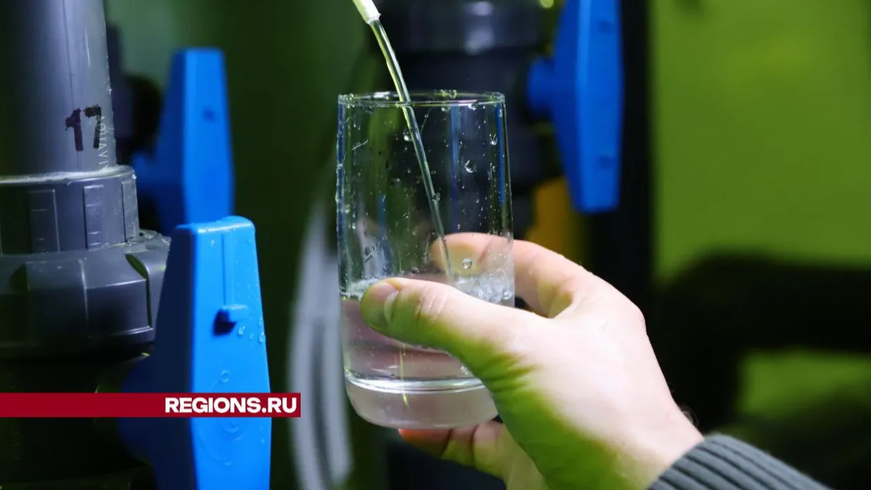 Фото: Светлана Плотникова