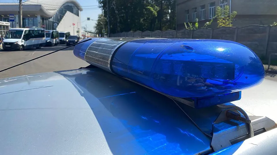 Подростки сбросили кошку с крыши 14-этажного дома в Подмосковье — СМИ