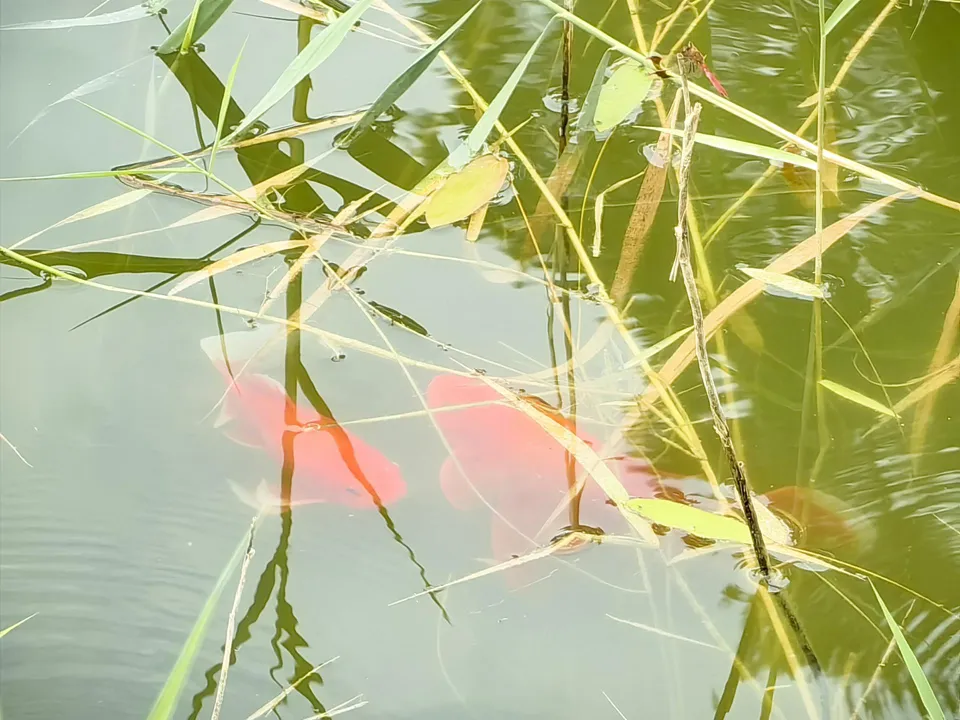 Фото: REGIONS/Елена Катасонова