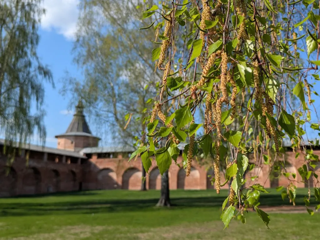 Фото: ГМЗ&nbsp;«Зарайский кремль»
