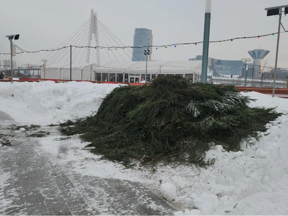 Фото: МедиаБанк Подмосковья/Кристина Ларина