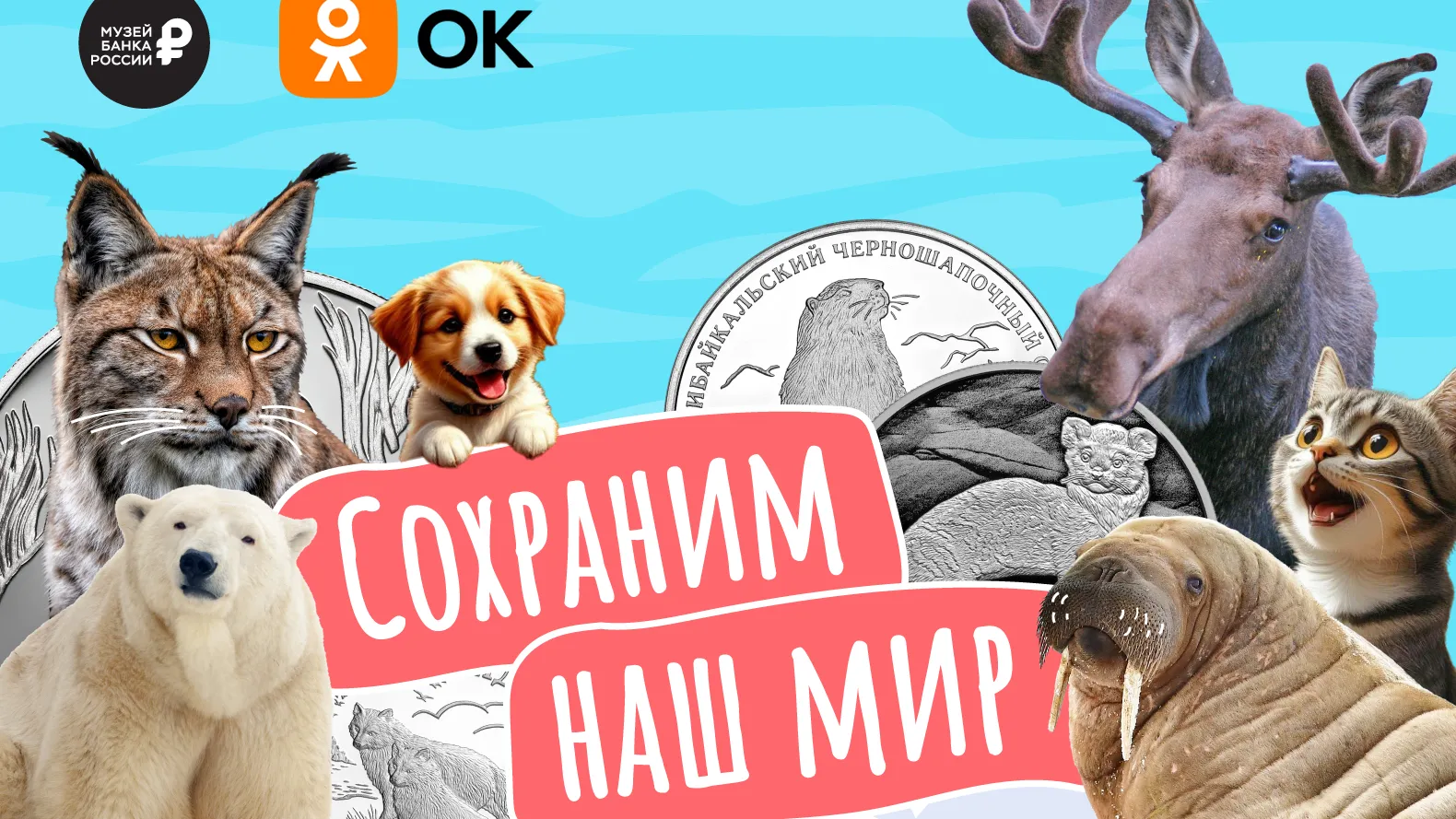 «Одноклассники»