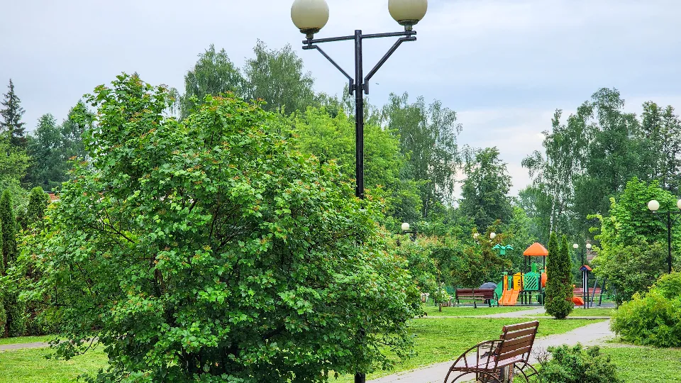 Фото: Мария Андрюхина