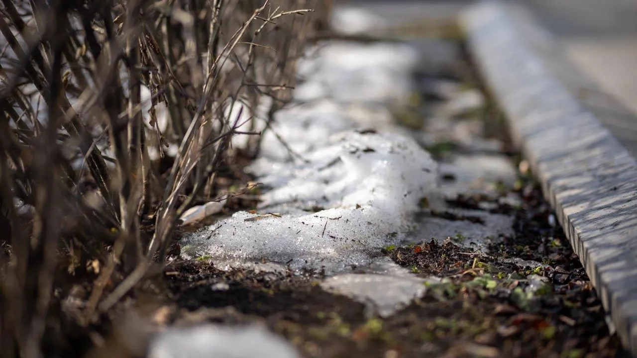 REGIONS/Владимир Ерастов