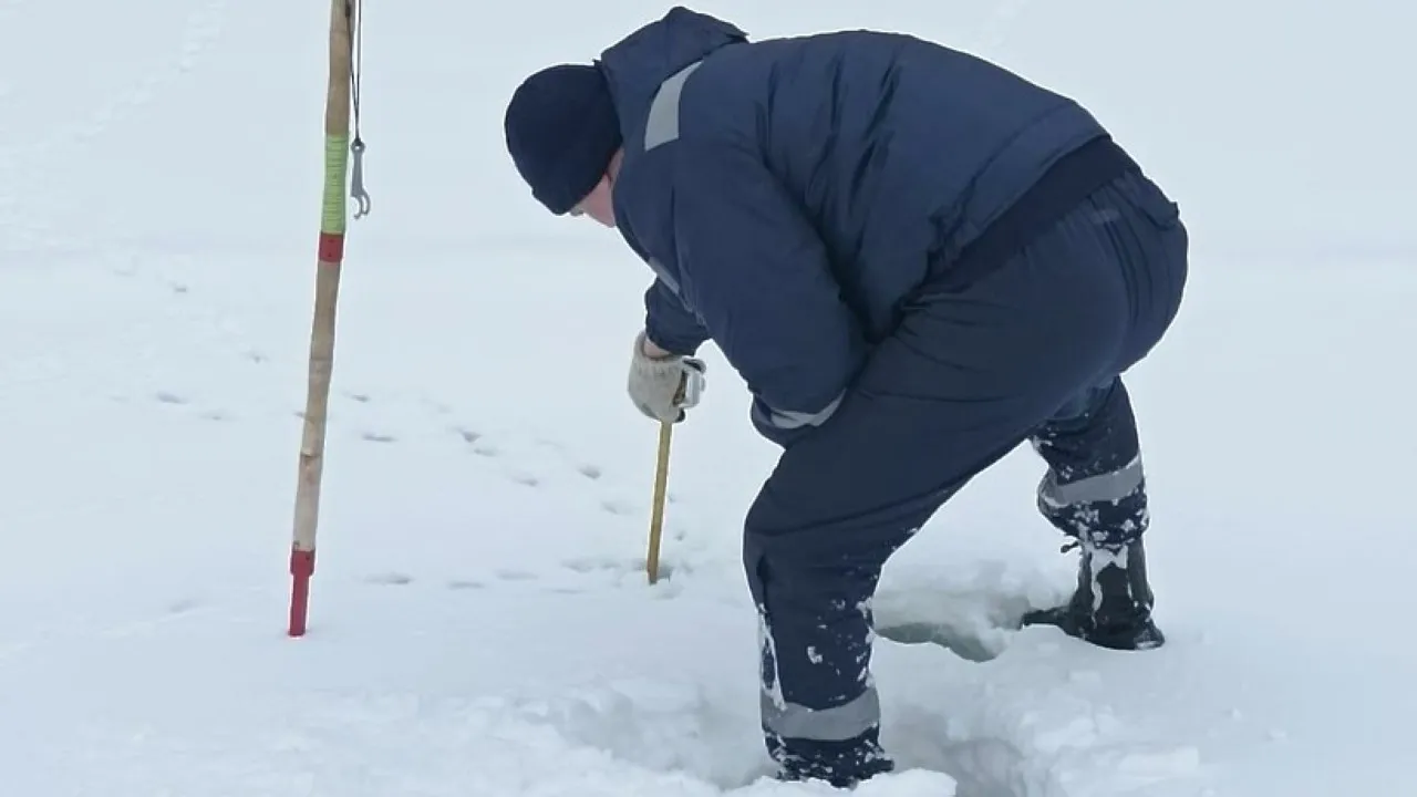 фото: ЕДДС г.о. Чехов