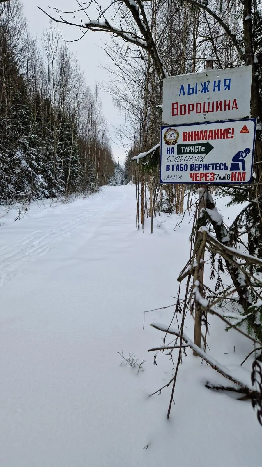 Фото https://vk.com/sokgabo