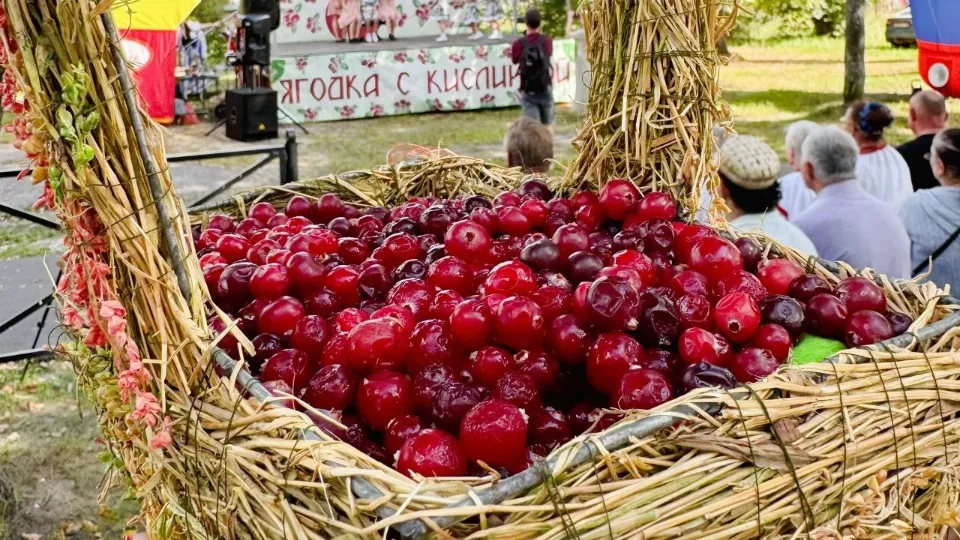 Фото: пресс-служба администрации г.о. Егорьевск