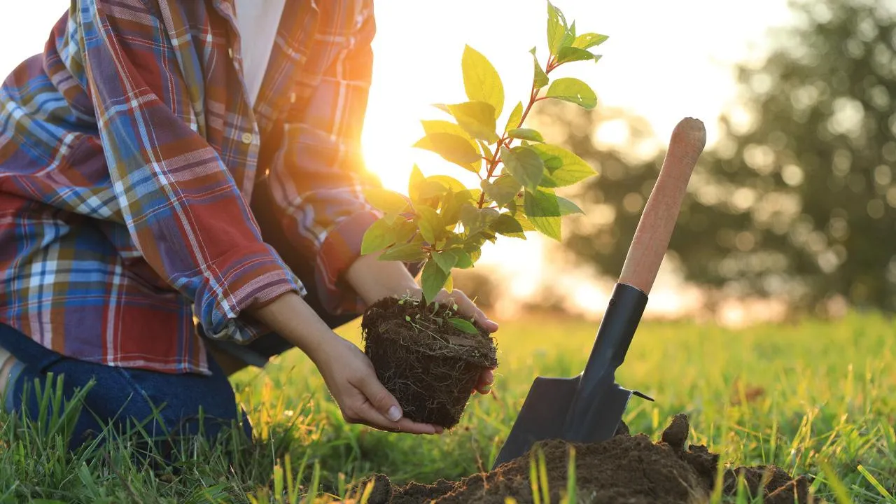 istockphoto.com/Liudmila Chernetska