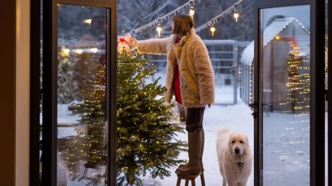 медиасток.рф