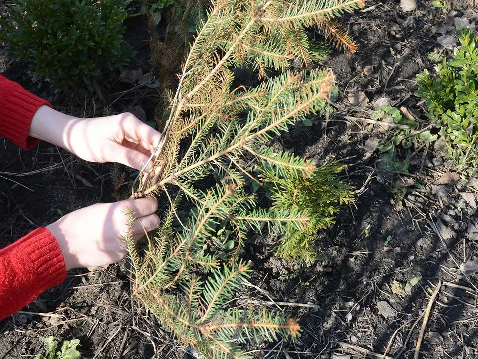 Фото: istockphoto.com/Lex20