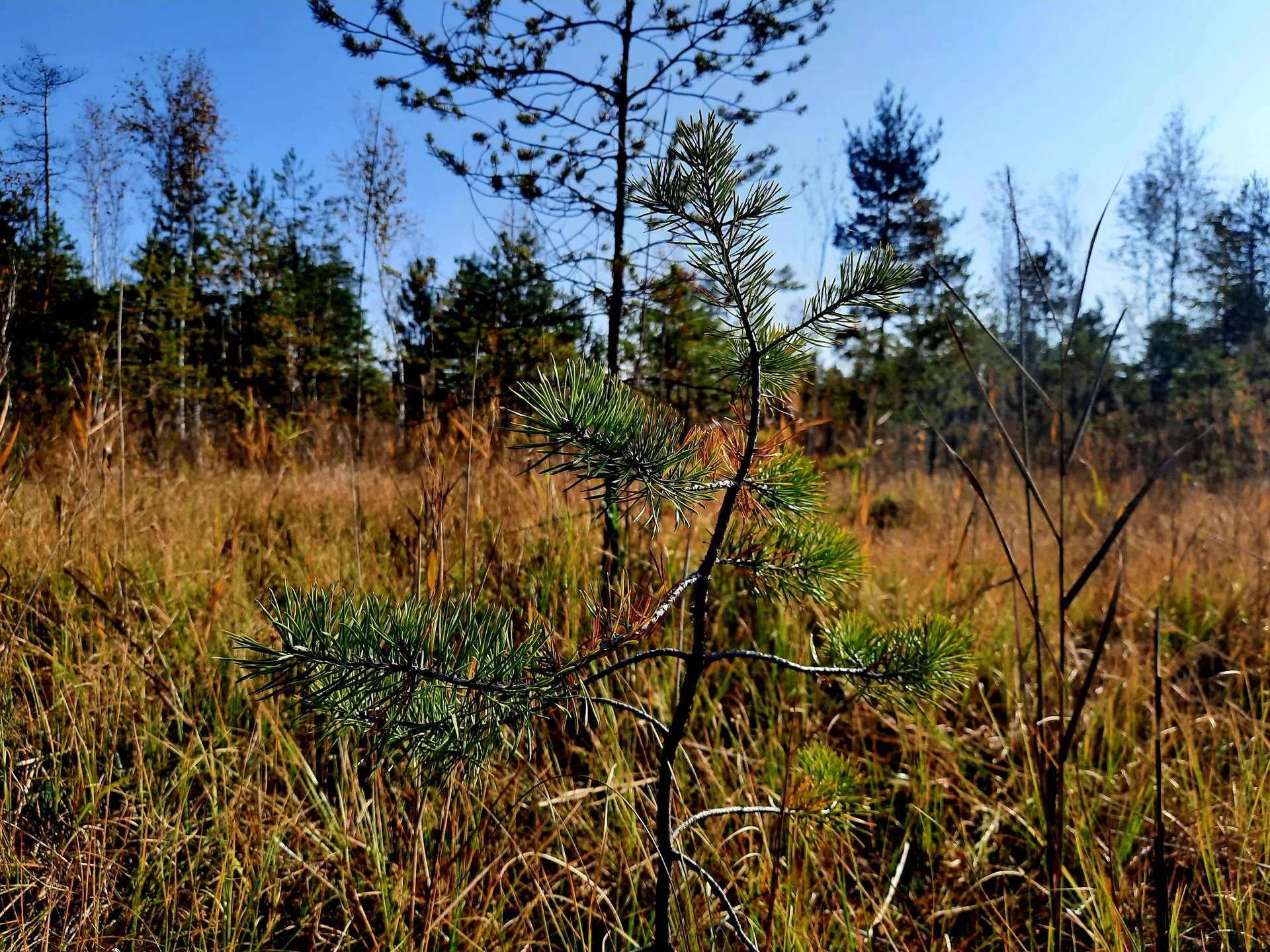 Михаил Мартыненко