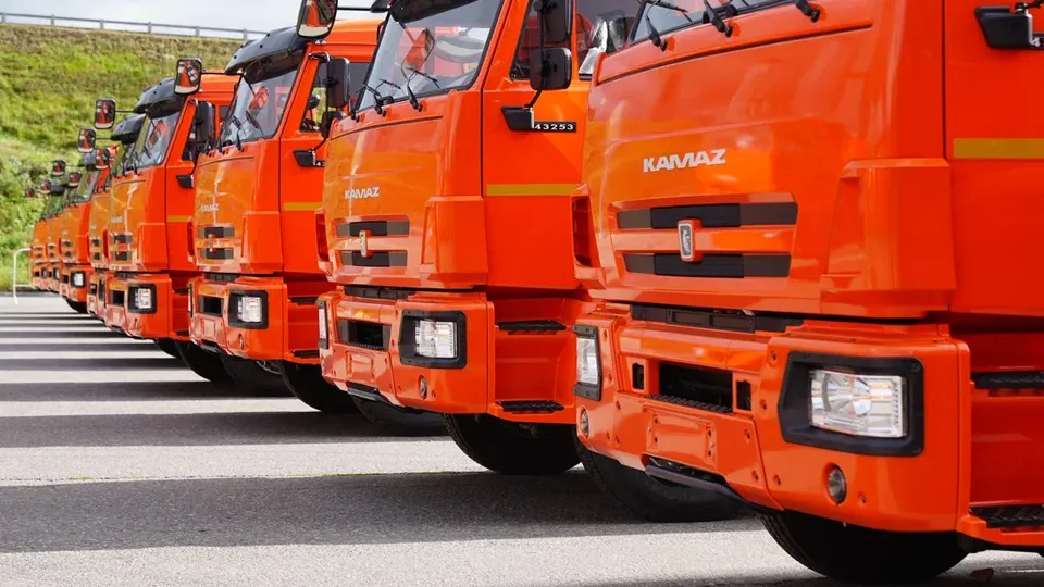 Фото: пресс-служба губернатора и правительства Московской области