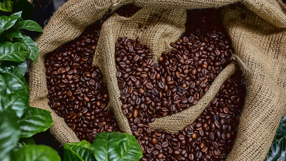 Фото: istockphoto.com/Georgiy Datsenko