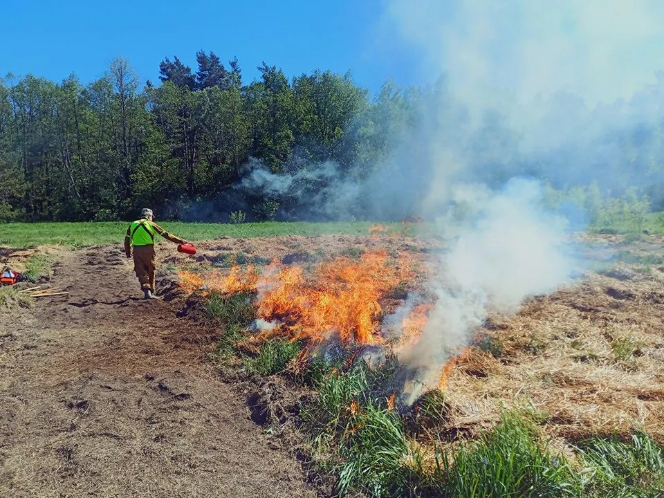 Фото: МедиаБанк Подмосковья/Ольга Шеметова