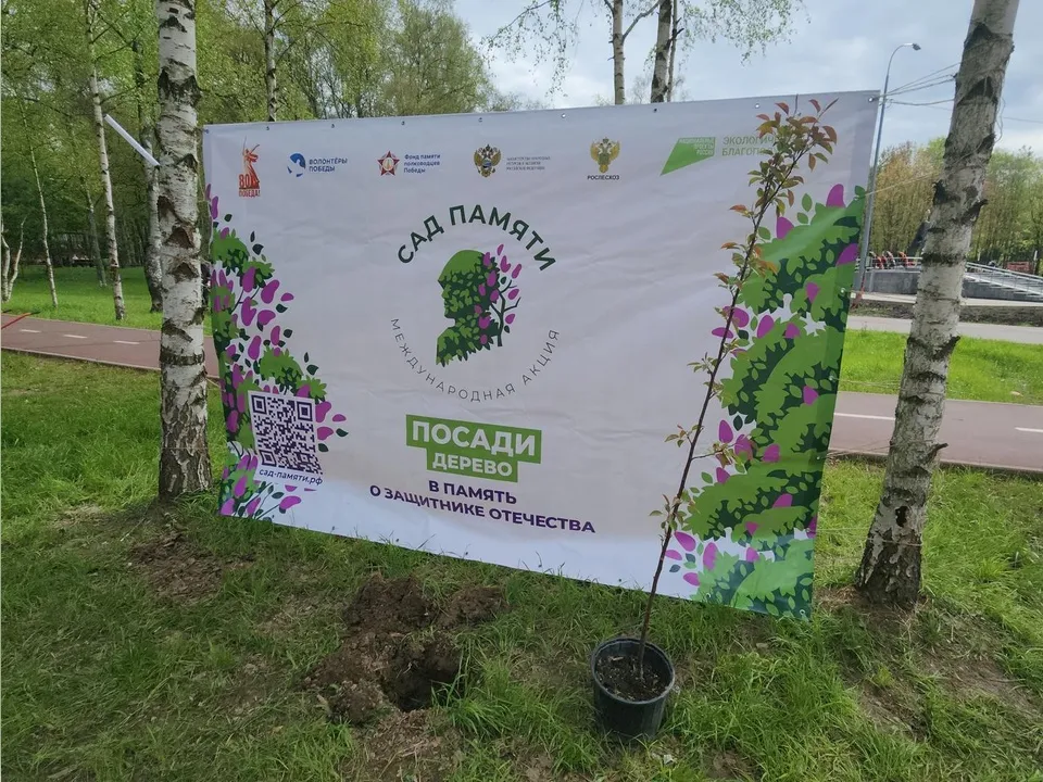 Фото: Юлия Смагринская