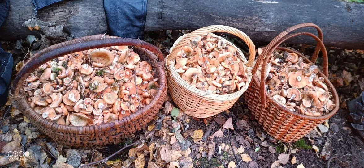 Источник: Мария Панина