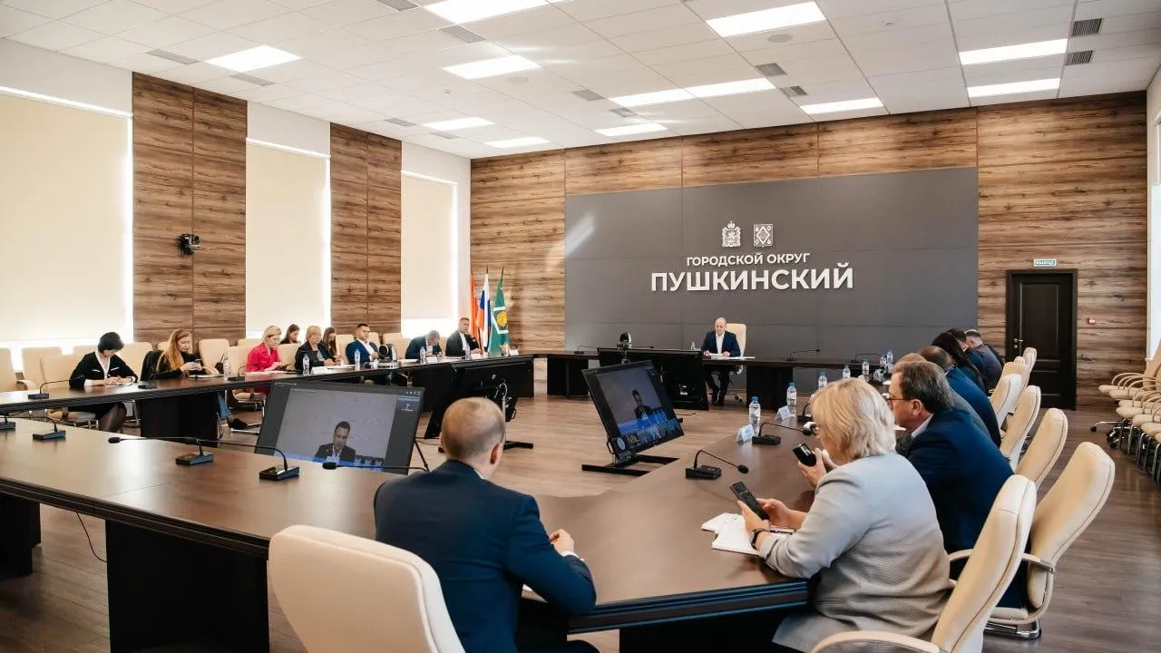В Пушкинском под председательством главы Подмосковья обсудили запуск отопления, экологию и благоустройство