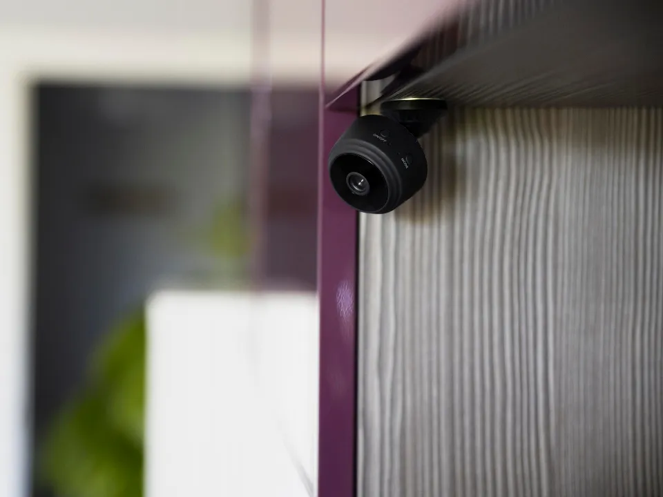 Фото: istockphoto.com/Viorela Florescu