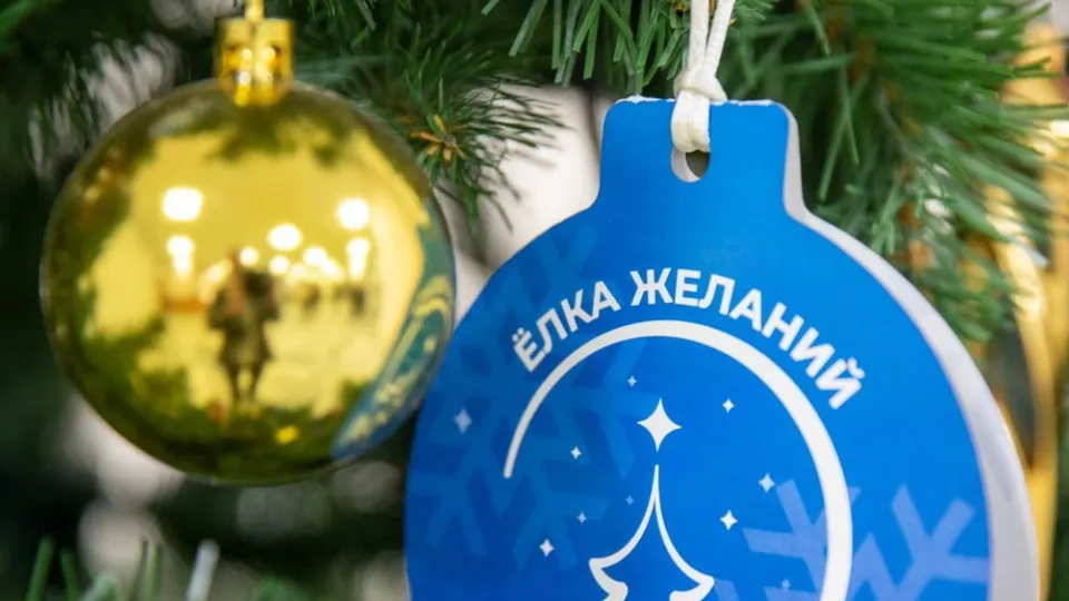 Фото: пресс-служба администрации г. о. Подольск