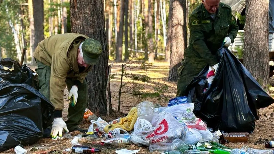 Фото: Комитет лесного хозяйства Московской области