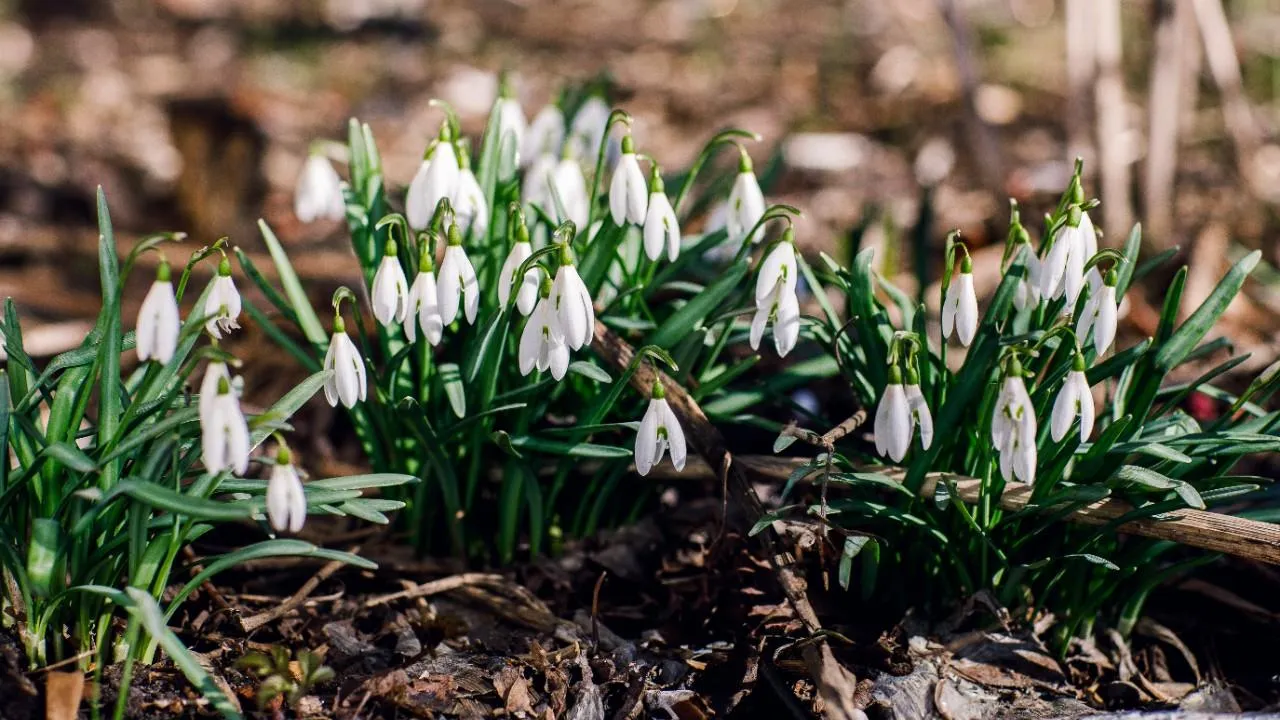 медиасток.рф