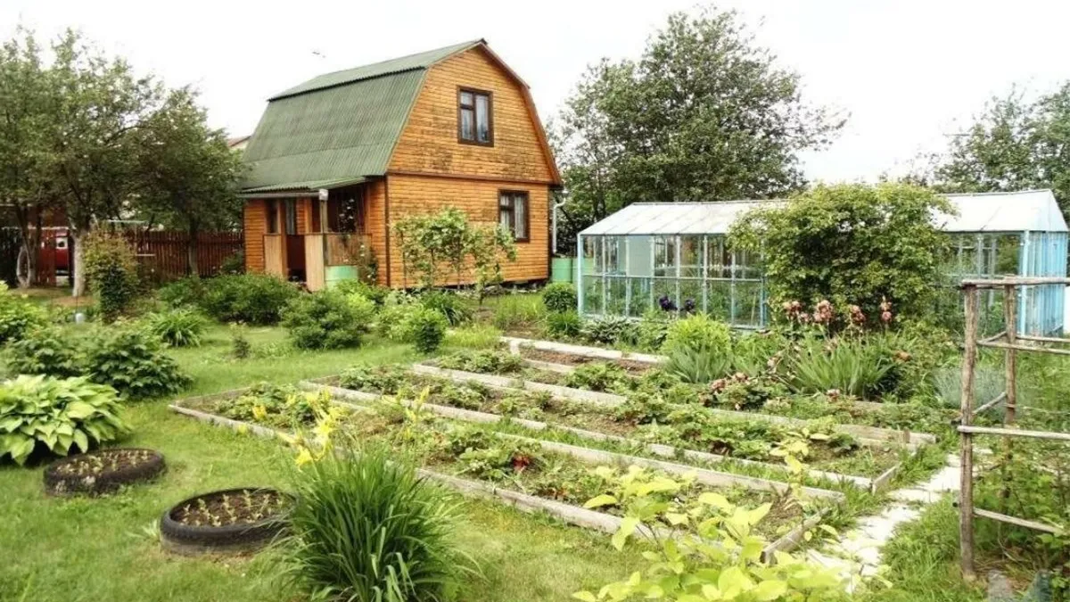 Фото: mykaleidoscope.ru