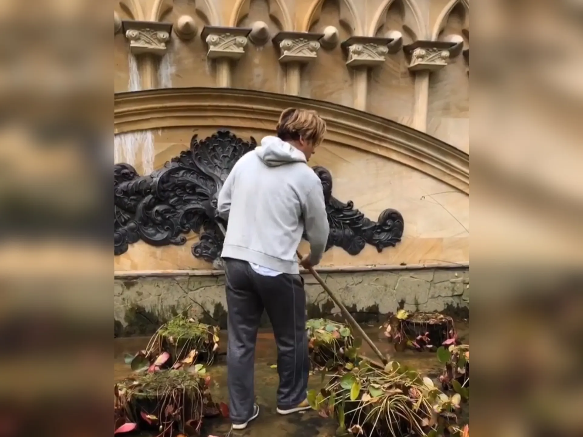 Фото: соцсети