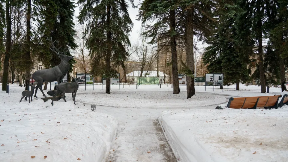 Фото: медиасток.рф