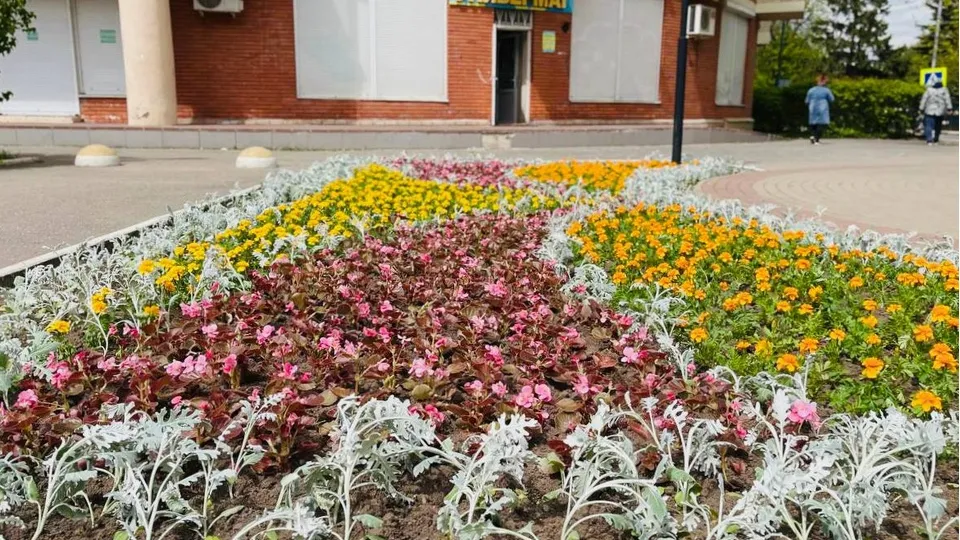 Фото: t.me/ty_kraskovo_malahovka