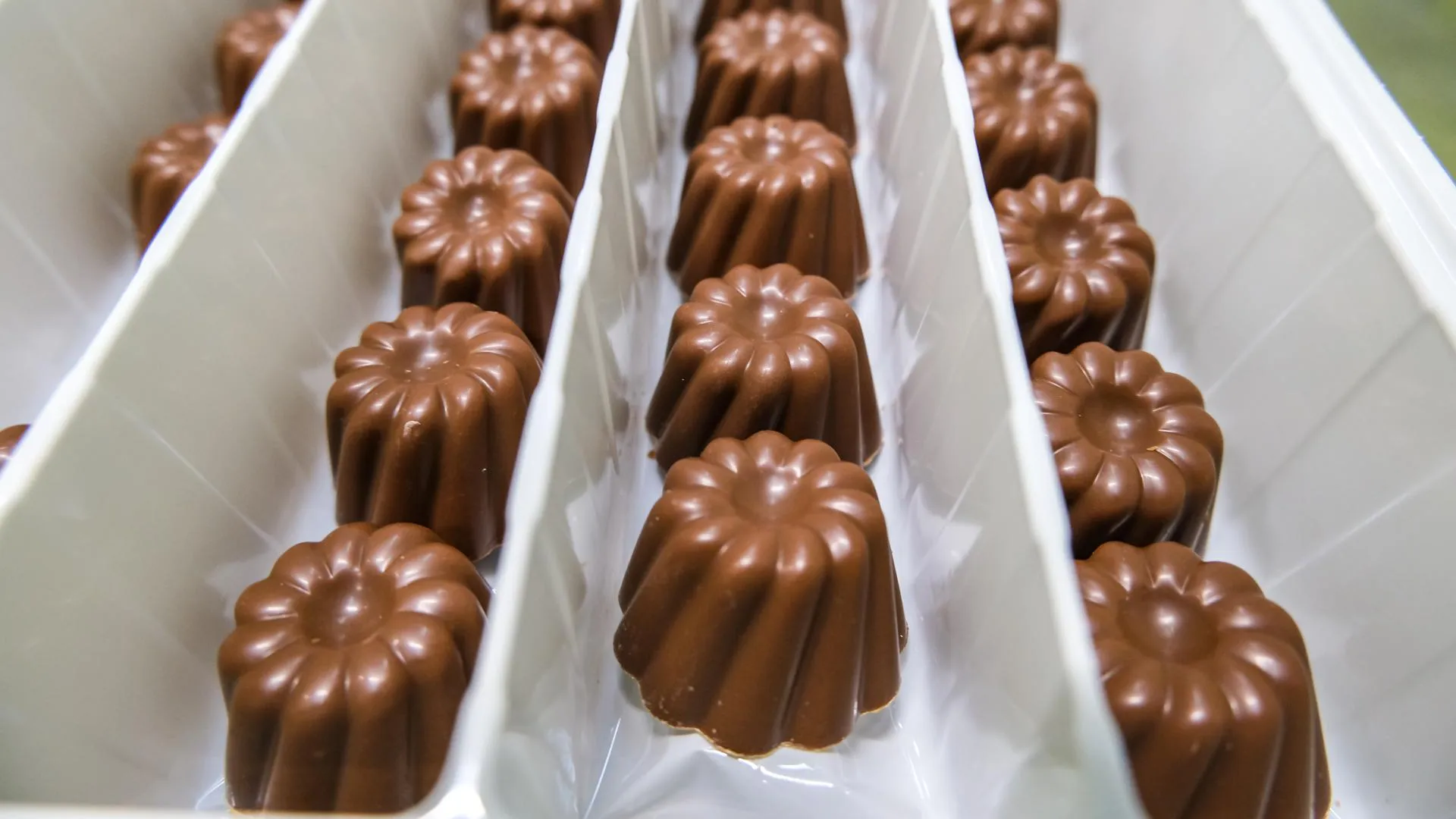 Bulkin Sergey/news.ru