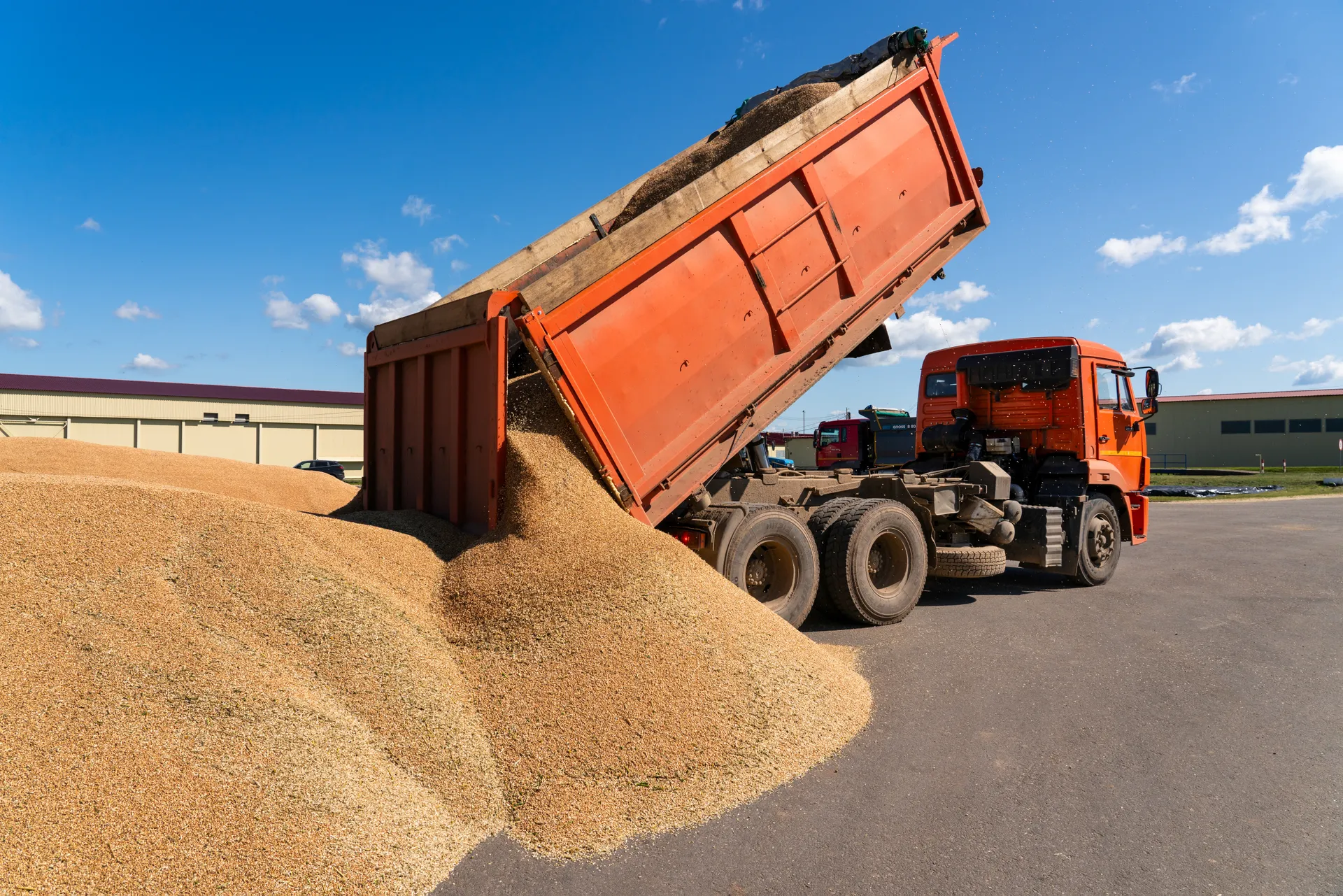 Уборка урожая