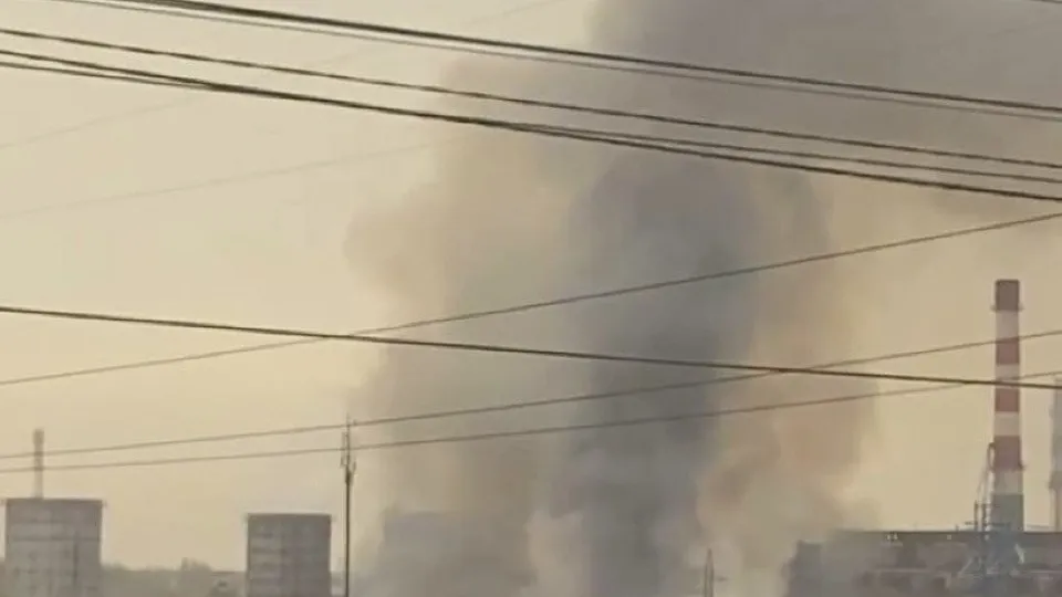 Фото: соцсети