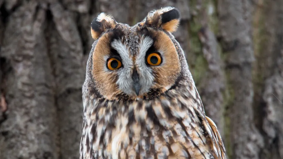 Фото: Владимир Данюшин