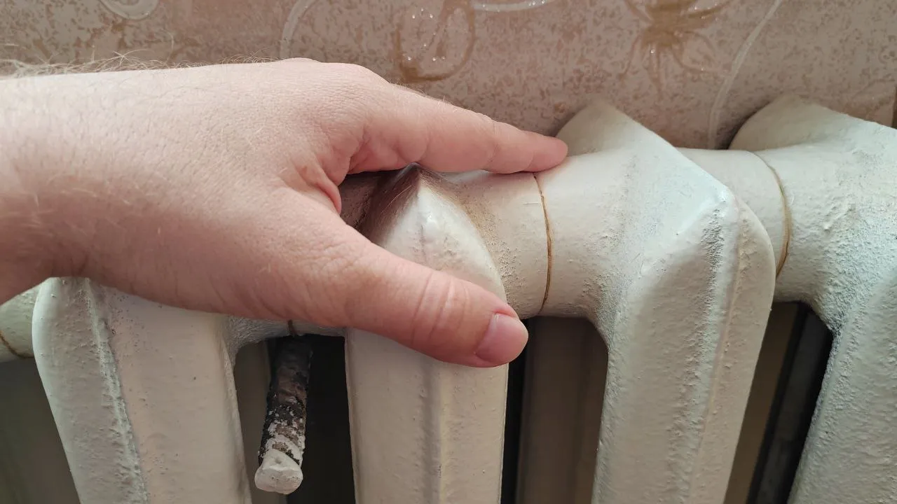 Фото: Евгений Мазепов