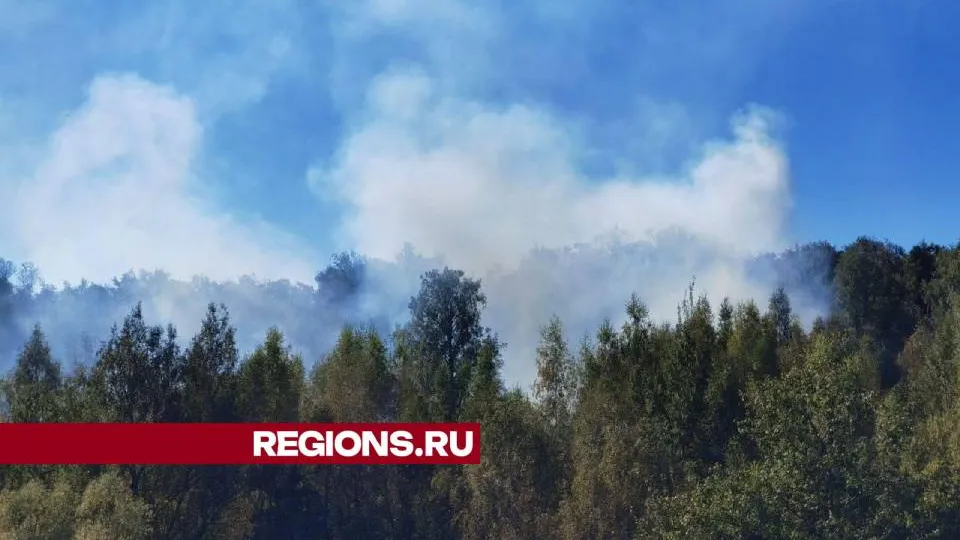 Фото: Дмитрий Зайчиков