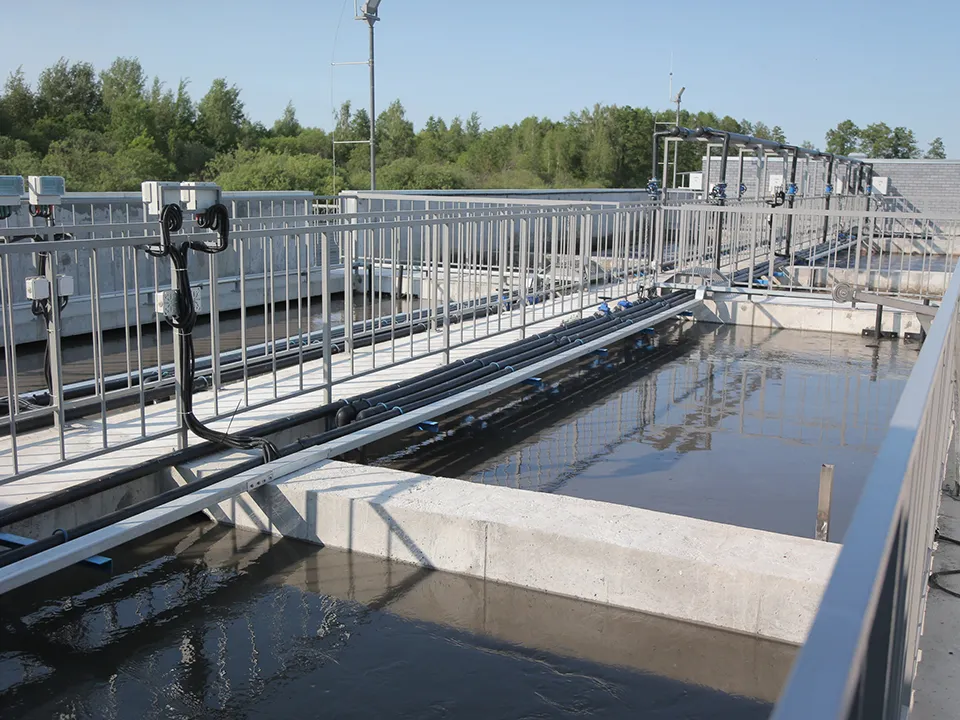 Фото: пресс-служба губернатора и правительства Московской области