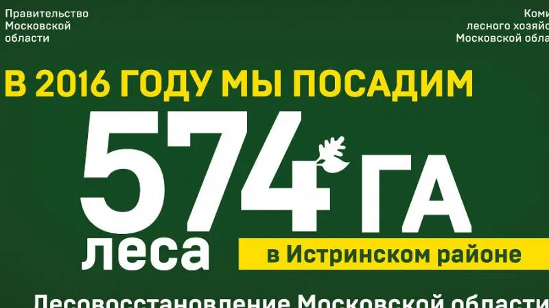 В области продолжают размещать баннеры о лесовосстановительных акциях
