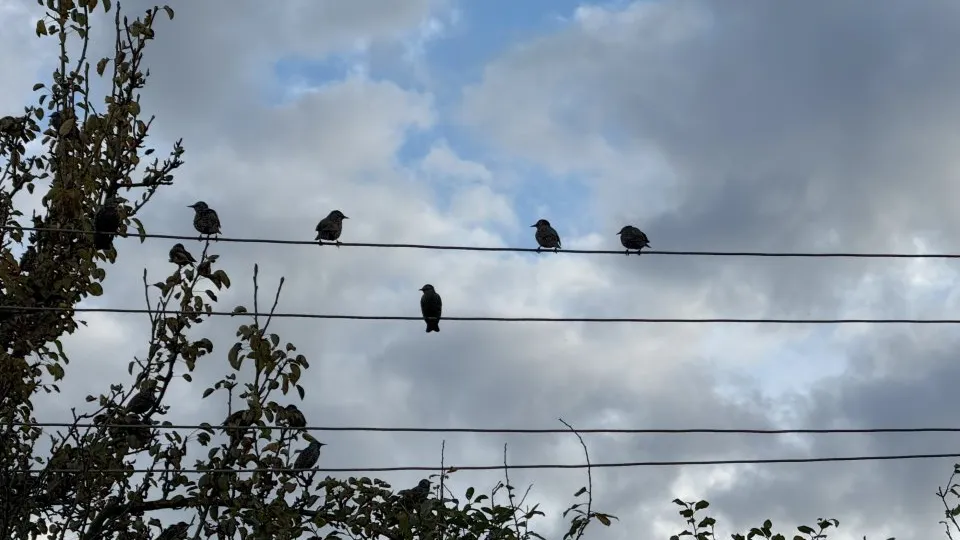 Фото: REGIONS/Илья Попов