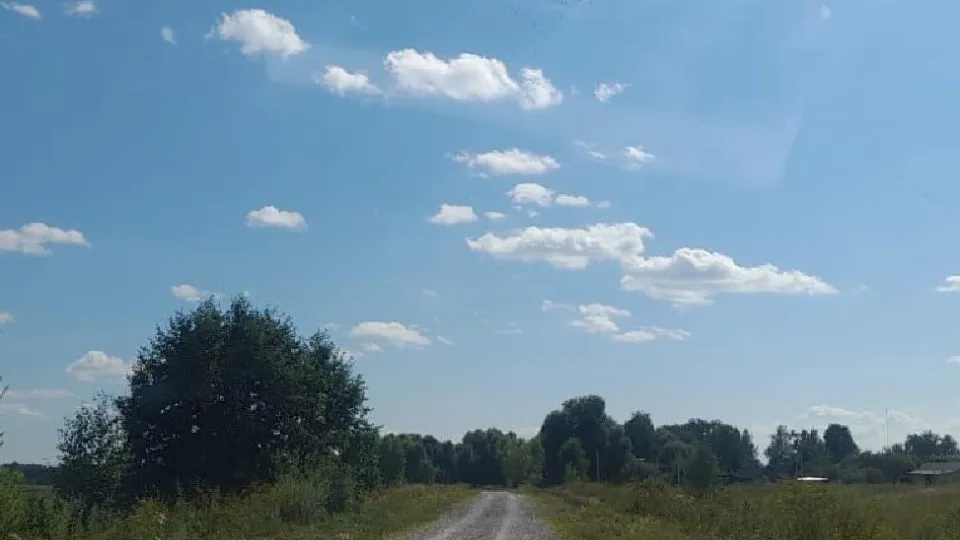 Фото: Администрация городского округа Лотошино