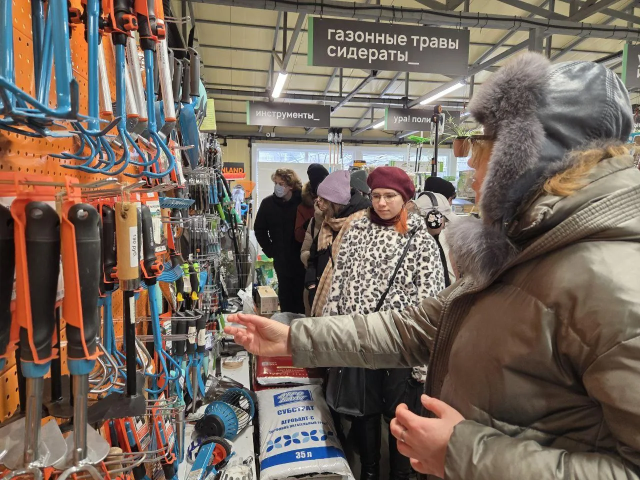 Картинка