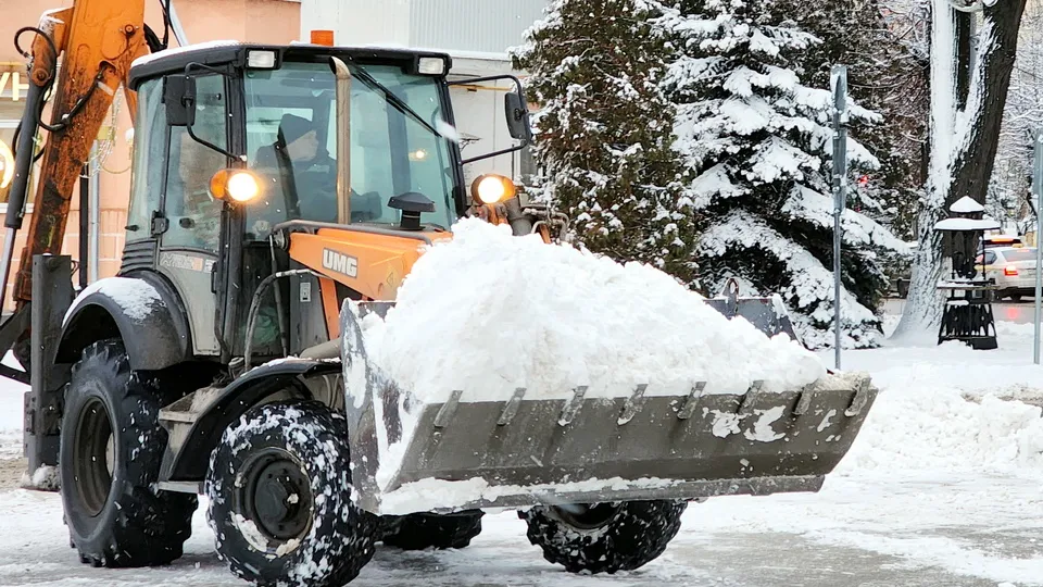 Фото: МедиаБанк Подмосковья/Ольга Аввакумова