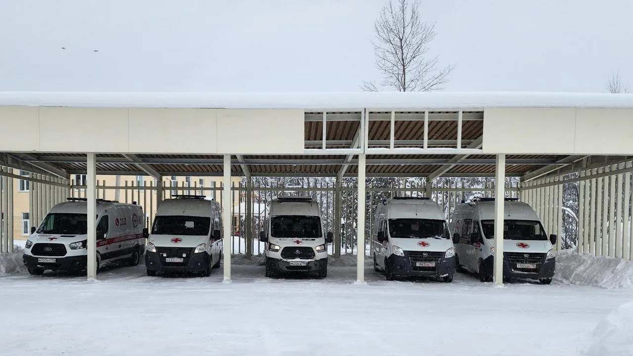 МедиаБанк Подмосковья/Валерия Исаева