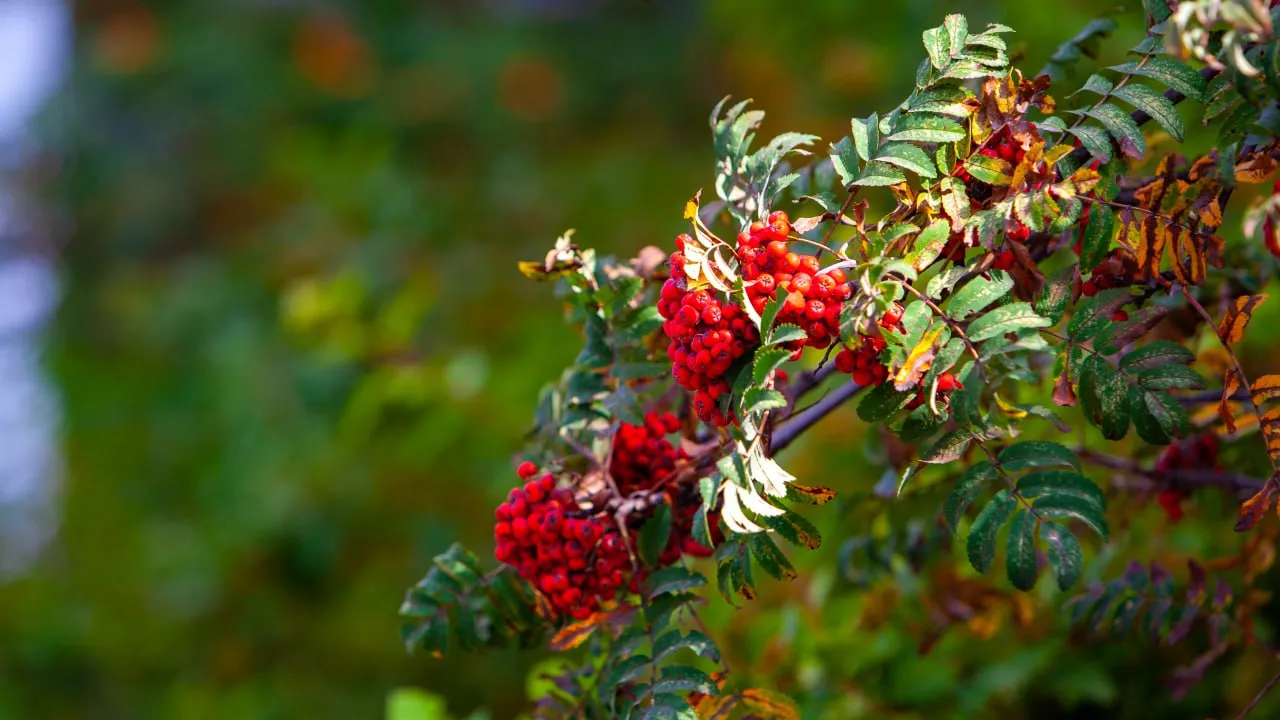 Фото: REGIONS/Роман Малышенко