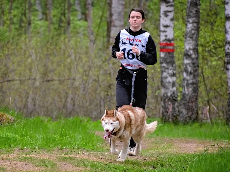 Фото: Центр ездового спорта и туризма «Бореалис»