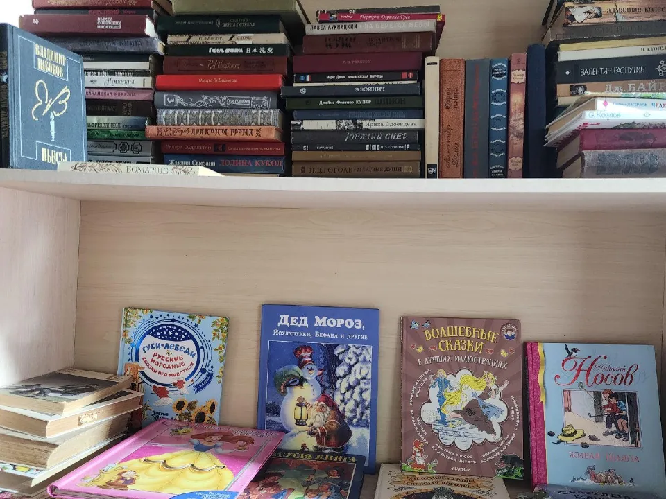 Фото: Хавива Фонина