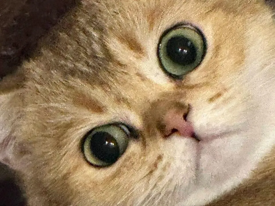 Фото: ГК «Гранель»